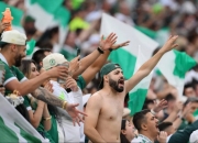 爱游戏网页版-帕尔梅拉斯替补席深度成优势，冲击世俱杯冠军的简单介绍