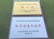 爱游戏平台-湖南队在比赛中展现出稳定实力，夺得重要胜利的简单介绍