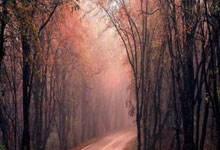 爱游戏在线登录-温馨氛围中涌现球员实力，球场热度不降