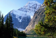 爱游戏视频-葡萄牙巴塞罗那逆转奇迹：燃情夺冠的背后故事