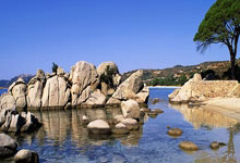 爱游戏官网app-巴塞罗那球员连入数球，助力球队连胜，开启崭新时代