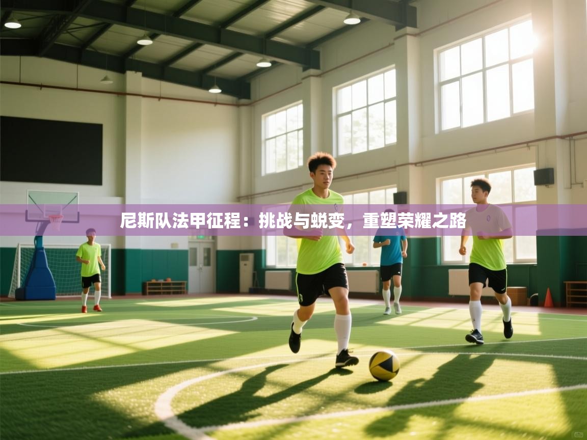 尼斯队法甲征程：挑战与蜕变，重塑荣耀之路  第2张