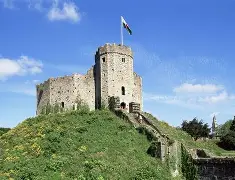 卡迪夫城主场告捷：瓦尔德救主登场立竿见影的简单介绍