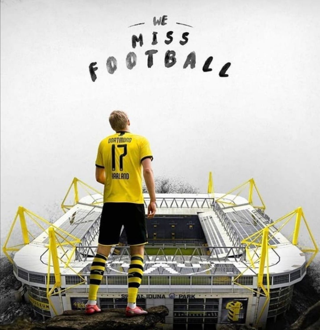 德国队豪取两连胜，势如破竹的简单介绍