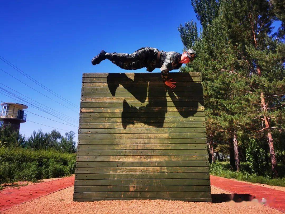 关于荷兰男子400米障碍奔跑选手苦练多时终夺第三十三的信息